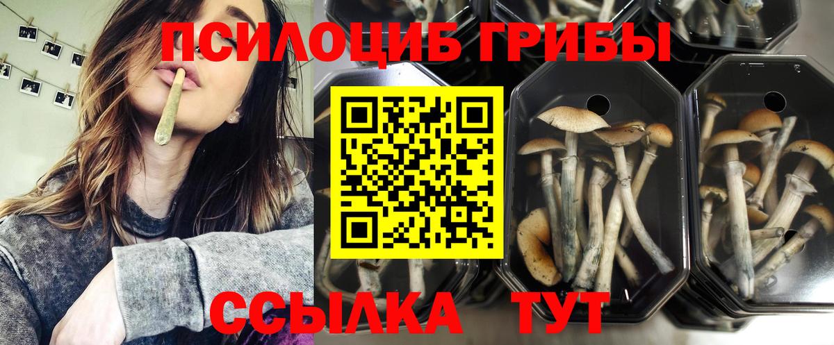 Барнаул  Галлюциногенные грибы GOLDEN TEACHER  Вход с VPN 