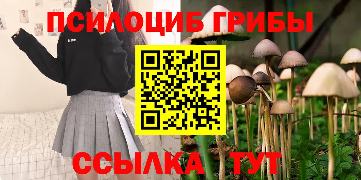Галлюциногенные грибы мухоморы Барнаул